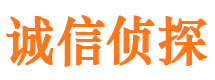 魏都市私家侦探